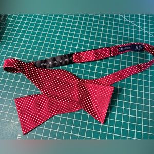 Silk Polka Dot Bow tie.